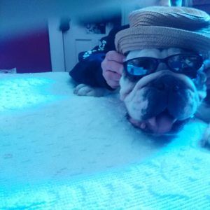 Meet your Posher, Rena